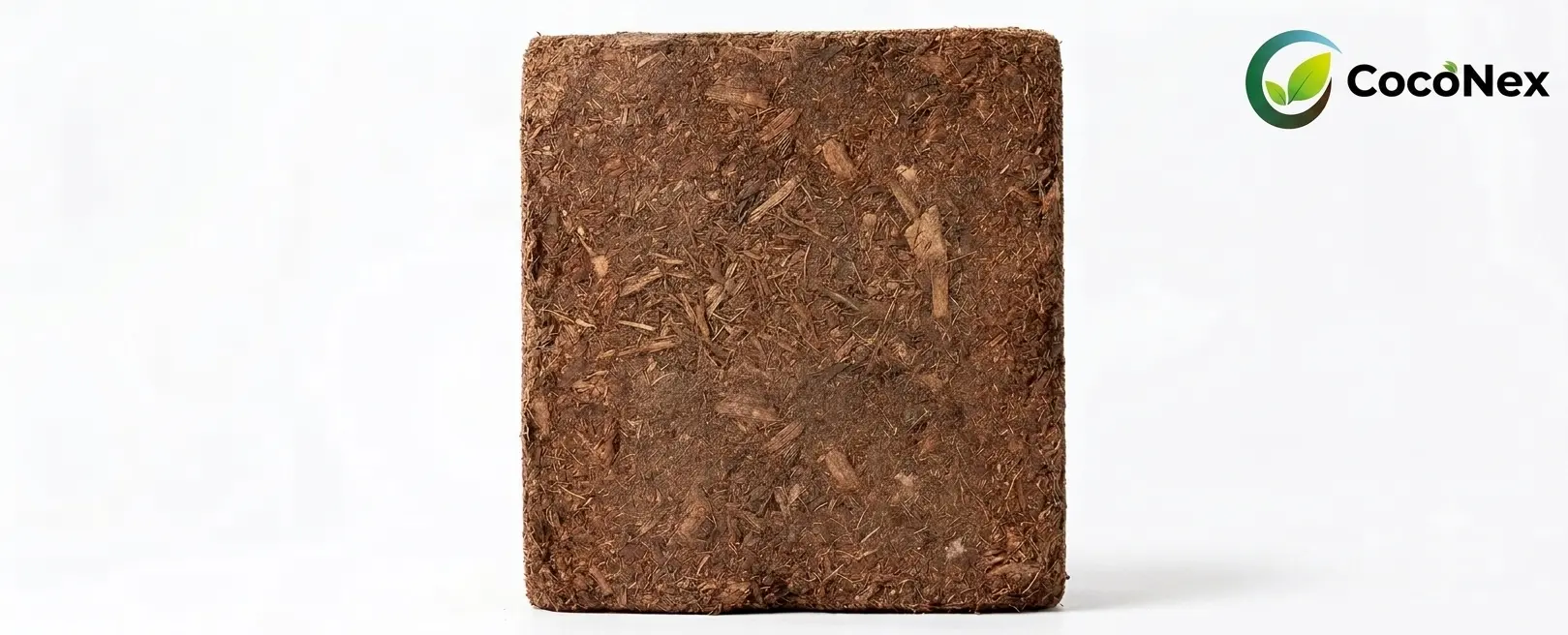 Coco Peat for Nurseries: Why It Beats Garden Soil - CocoNex 5kg coco peat block